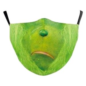 The Grinch Frowning Adult Cloth Face Mask Darted Adjustable Elastic with Filters